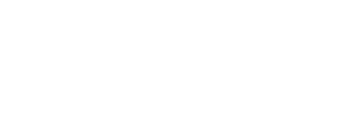 Logo Footer